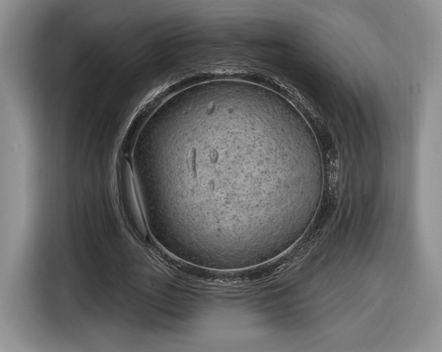 X0000116630727200912181324