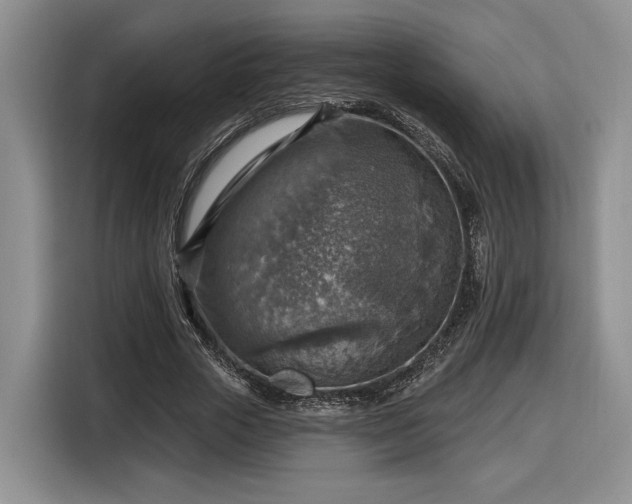 X0000116630729200912181324