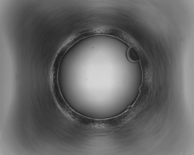 X0000116630730200912181324