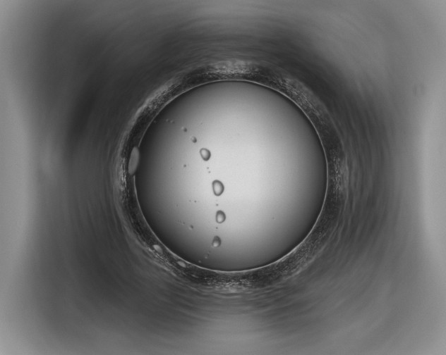 X0000116630731200912181324