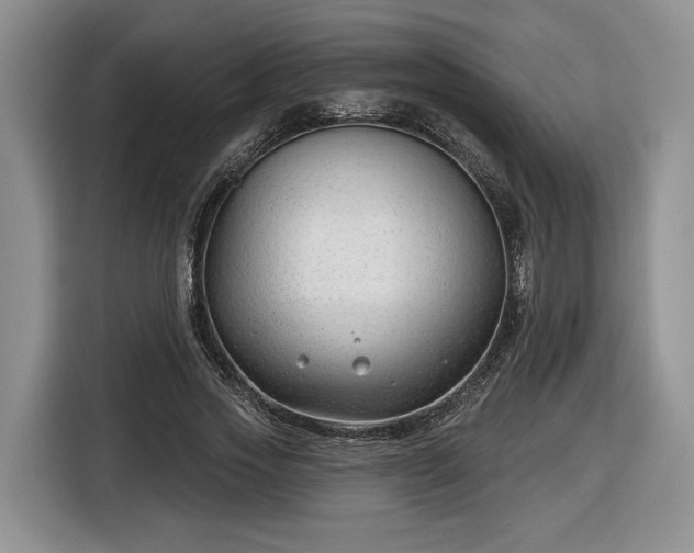 X0000116630733200912181324