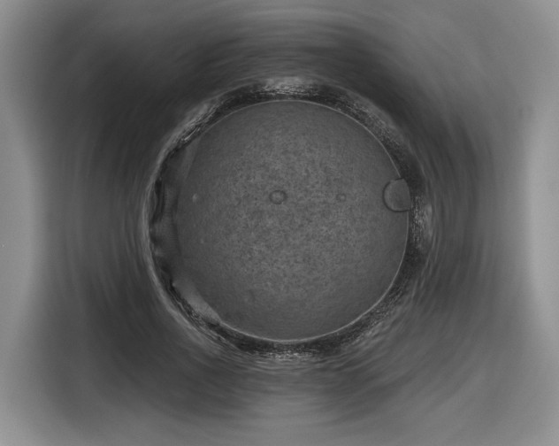 X0000116630734200912181324