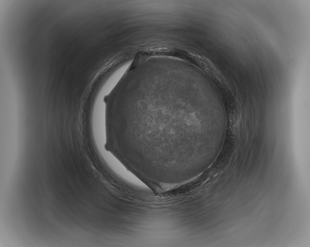 X0000116630735200912181324