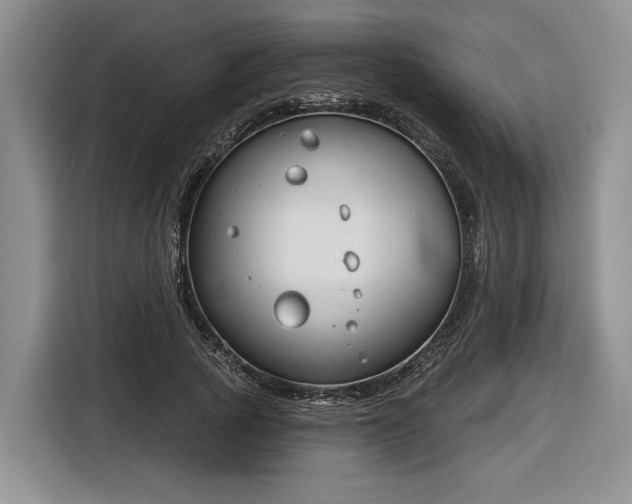 X0000116630737200912181324