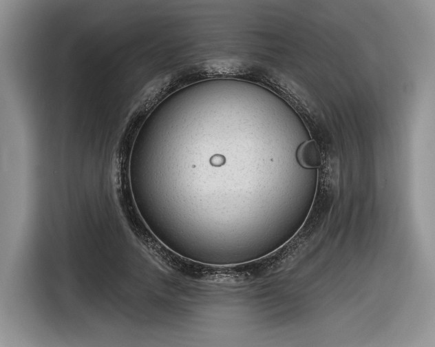 X0000116630738200912181324