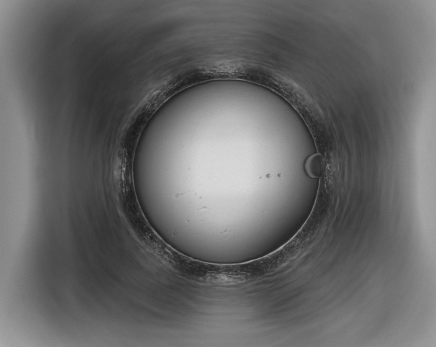 X0000116630739200912181324