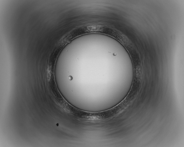 X0000116630741200912181324