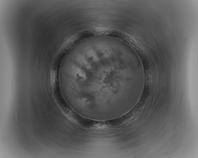 X0000116630742200912181324