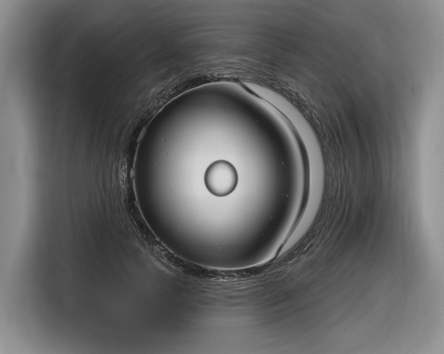 X0000116630745200912181324