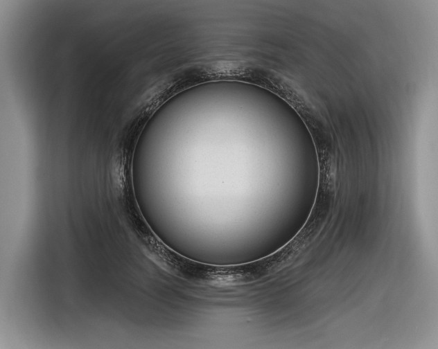 X0000116630746200912181324