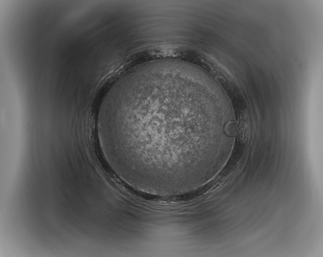 X0000116630747200912181324