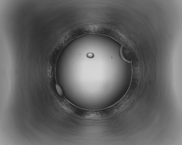 X0000116630750200912181324