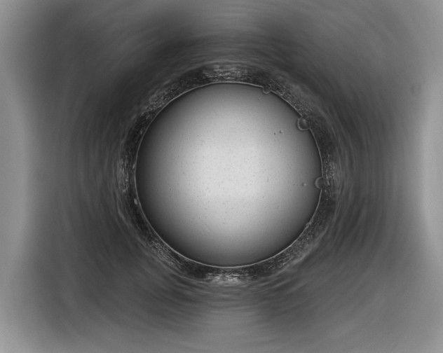 X0000116630751200912181325