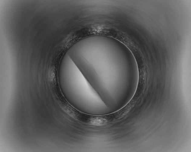 X0000116630754200912181325