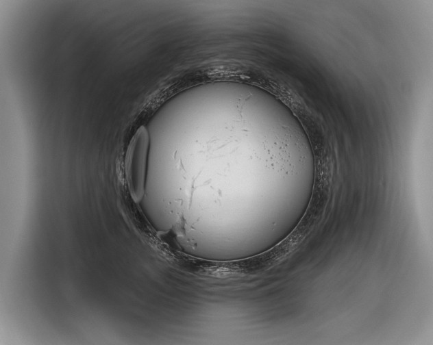 X0000116630755200912181325