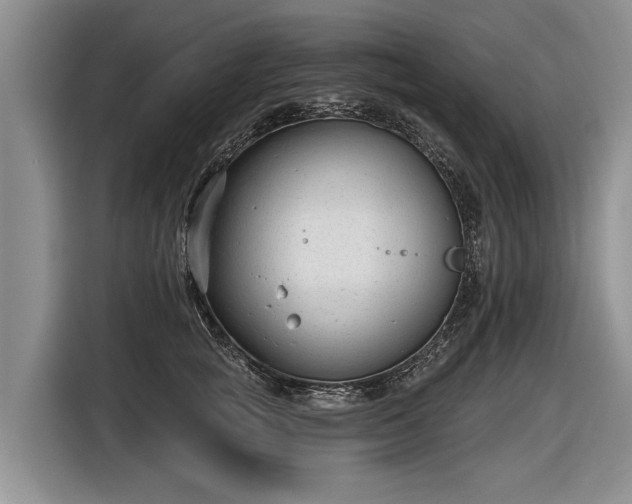 X0000116630757200912181325