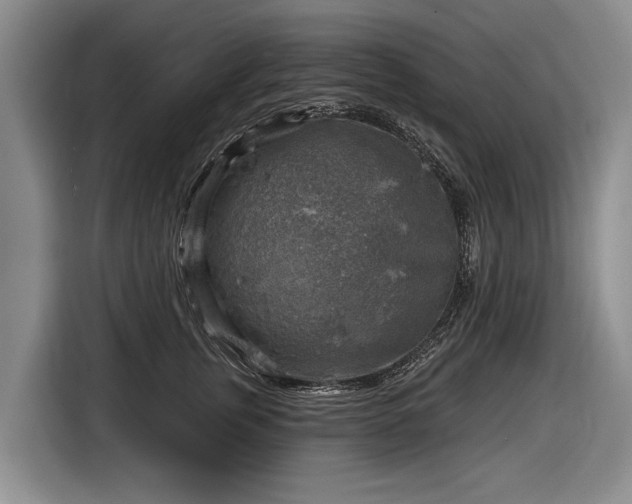 X0000116630759200912181325