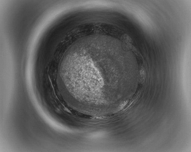 X0000116630765200912181325