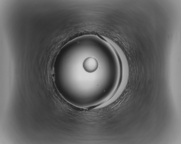 X0000116630769200912181324