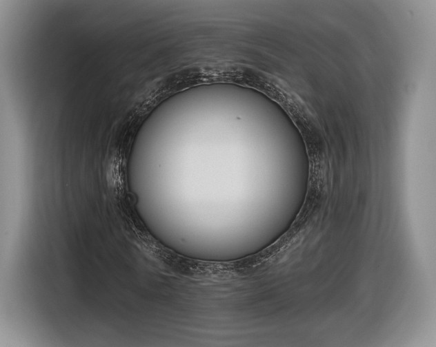 X0000116630770200912181324