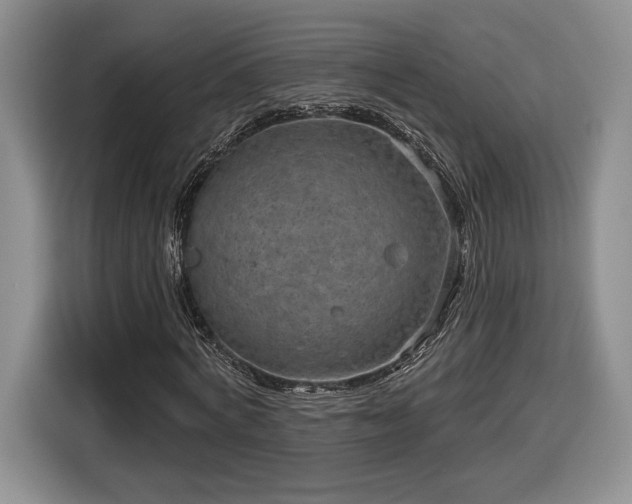 X0000116630772200912181324