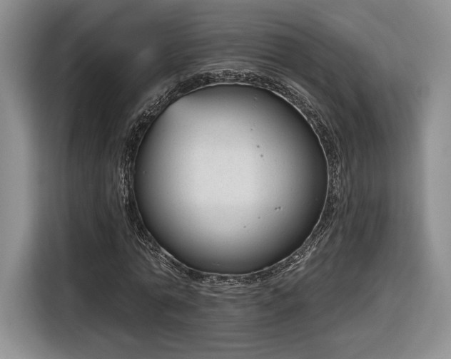 X0000116630774200912181324