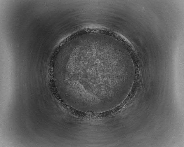 X0000116630775200912181324