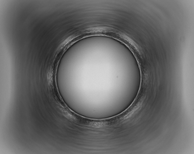 X0000116630778200912181324