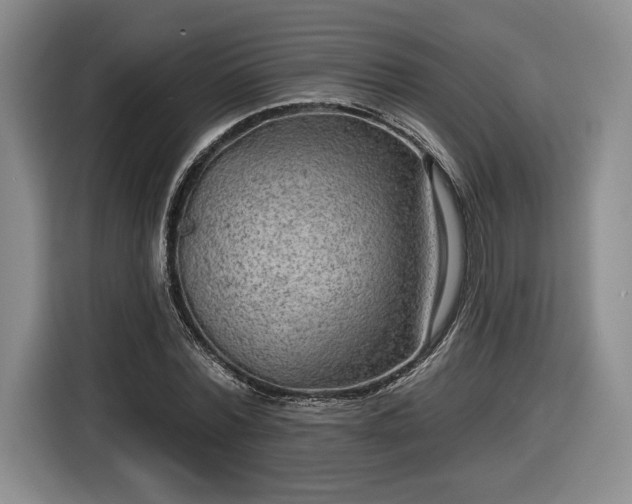 X0000116630780200912181324