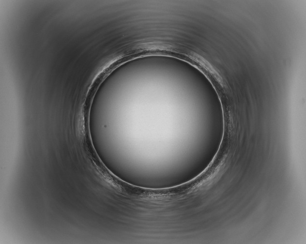 X0000116630782200912181324