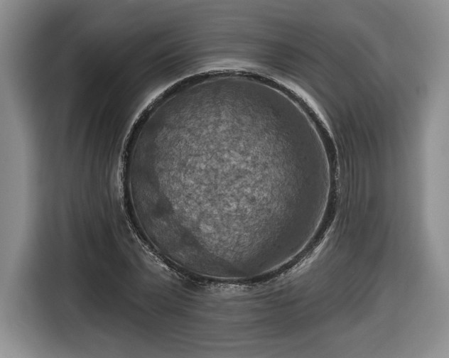 X0000116630783200912181324