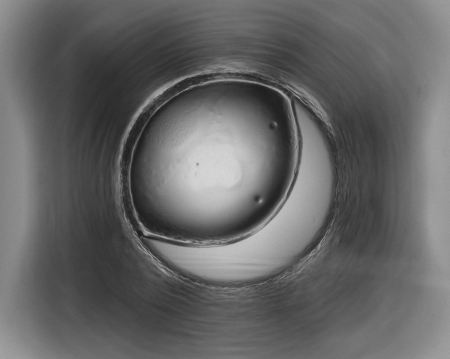 X0000116630784200912181324