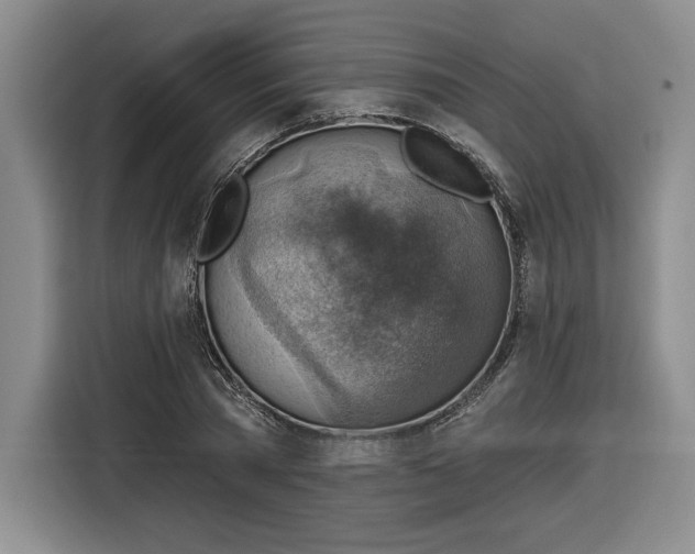 X0000116630785200912181324