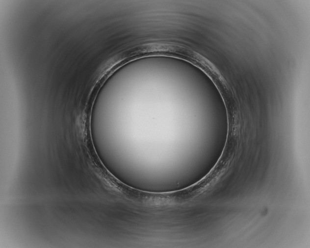 X0000116630786200912181324