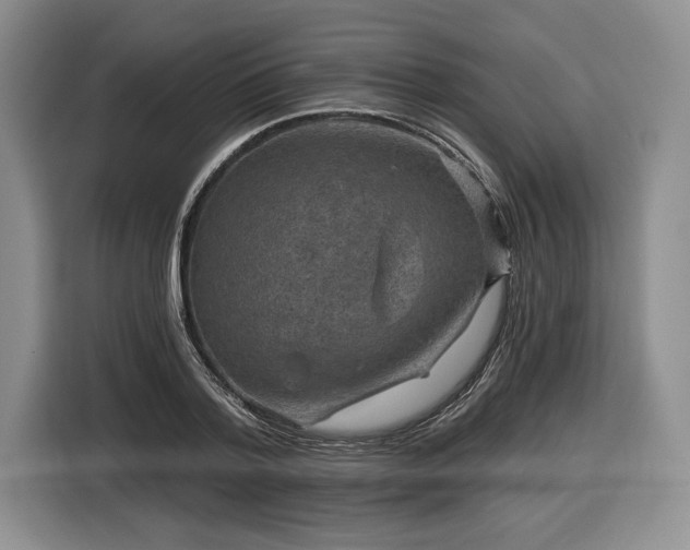 X0000116630788200912181324