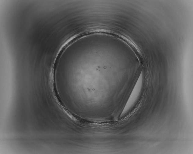 X0000116630790200912181324