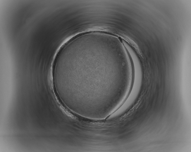 X0000116630792200912181324