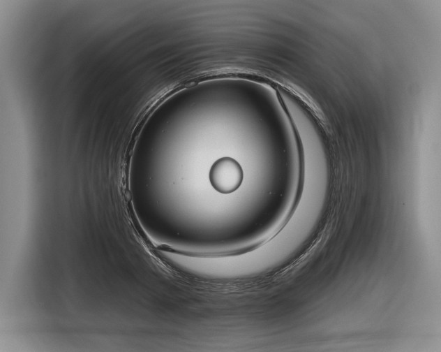 X0000116630793200912181324