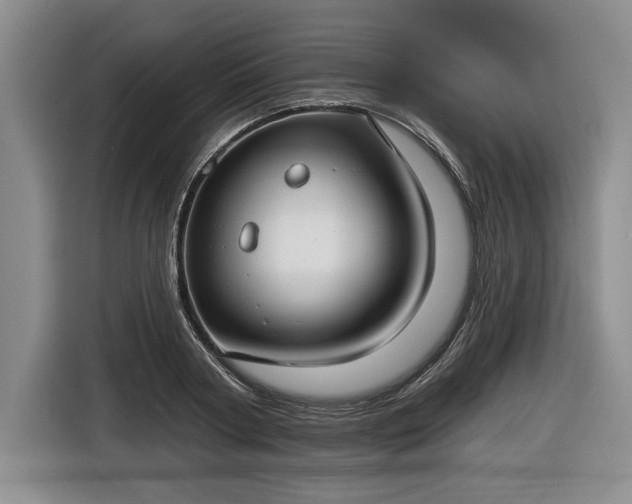 X0000116630794200912181324