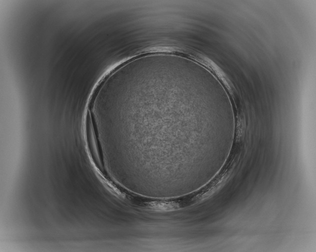 X0000116630795200912181324