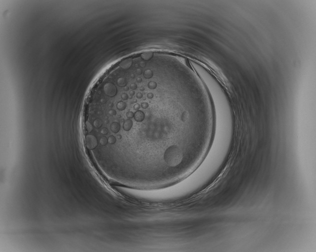 X0000116630796200912181324