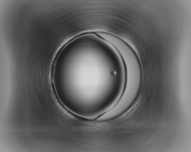 X0000116630797200912181324