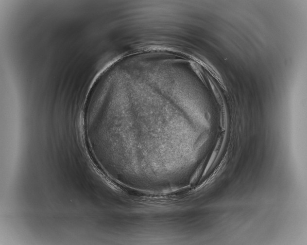 X0000116630798200912181324