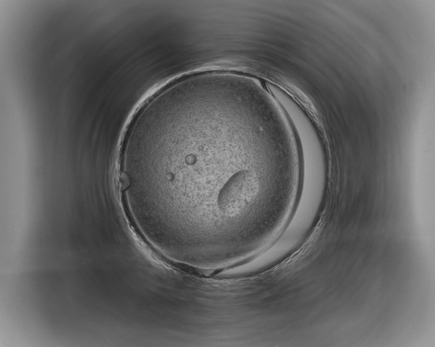 X0000116630800200912181324