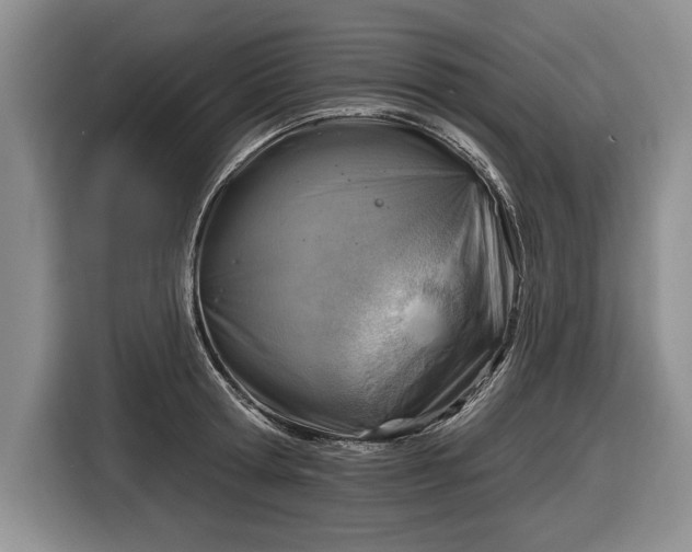 X0000116630802200912181324