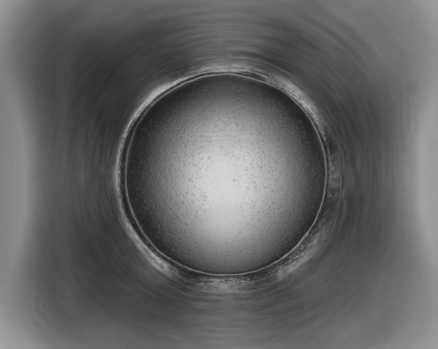 X0000116630803200912181324