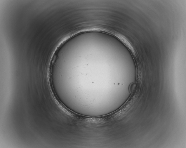 X0000116630805200912181324