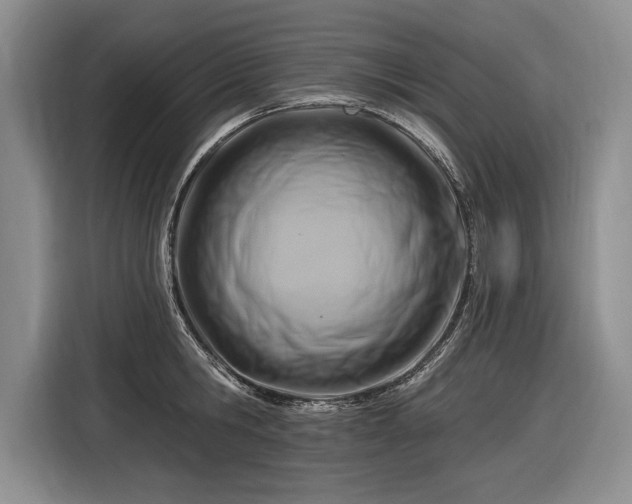 X0000116630806200912181324