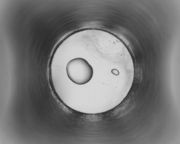 X0000116630807200912181324