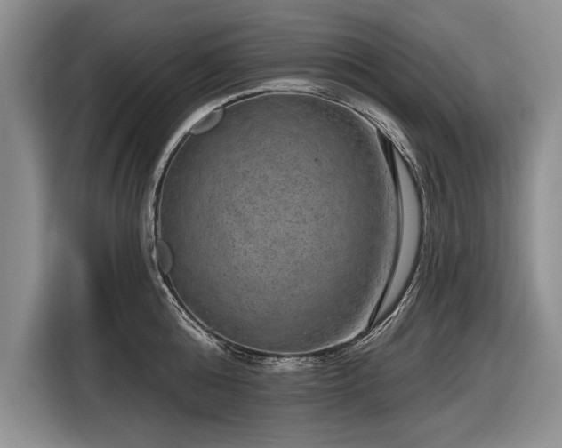 X0000116630808200912181324